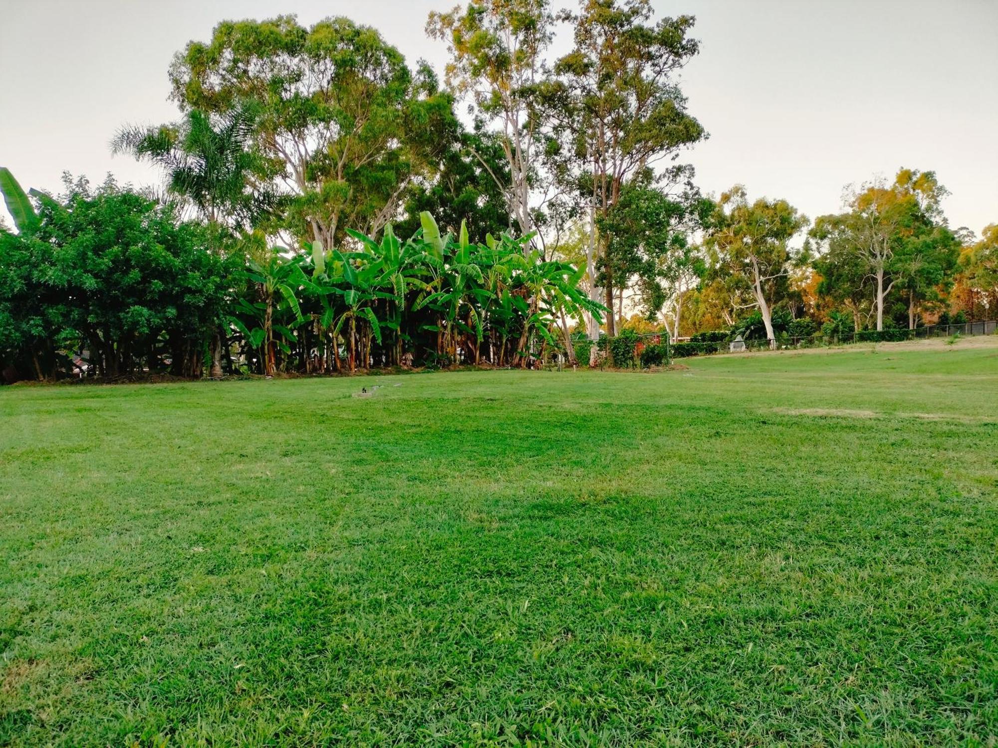The Woodlands Hideaway - Premium Acreage Guesthouse Browns Plains Eksteriør bilde